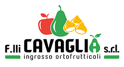 Logo F.LLI CAVAGLIÀ S.R.L.