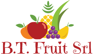 Logo B.T. FRUIT S.R.L.
